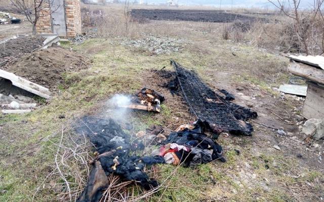 В Николаевской области на пожаре чуть не погибли две женщины Фото № 2 В Николаевской области на пожаре чуть не погибли две женщины Фото № 2