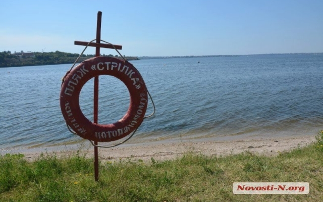 На пляже «Стрелка» берег усыпан дохлой рыбой, жители Николаева продолжают купаться в реке Фото № 8 На пляже «Стрелка» берег усыпан дохлой рыбой, жители Николаева продолжают купаться в реке Фото № 8