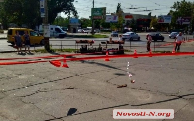 В Николаеве наклонившийся огромный тополь возле пешеходного перехода спилили Фото № 3 В Николаеве наклонившийся огромный тополь возле пешеходного перехода спилили Фото № 3