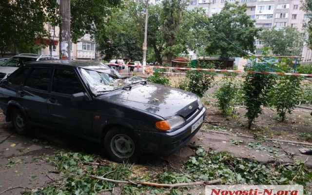 В центре Николаева упавший тополь раздавил автомобиль Фото № 4 В центре Николаева упавший тополь раздавил автомобиль Фото № 4