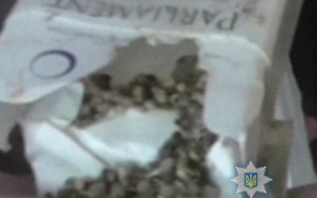 В Еланецком районе у двух местных жителей изъяли 259 куста конопли и более 300 г каннабиса Фото № 6 В Еланецком районе у двух местных жителей изъяли 259 куста конопли и более 300 г каннабиса Фото № 6