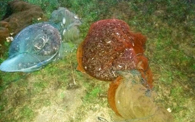На Березани два браконьера под покровом ночи незаконно ловили креветок и рыбу Фото № 4 На Березани два браконьера под покровом ночи незаконно ловили креветок и рыбу Фото № 4