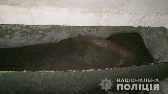 10 резонансных убийств, которые совершены в Николаеве и Николаевской области в 2018 году Фото № 0 10 резонансных убийств, которые совершены в Николаеве и Николаевской области в 2018 году Фото № 0