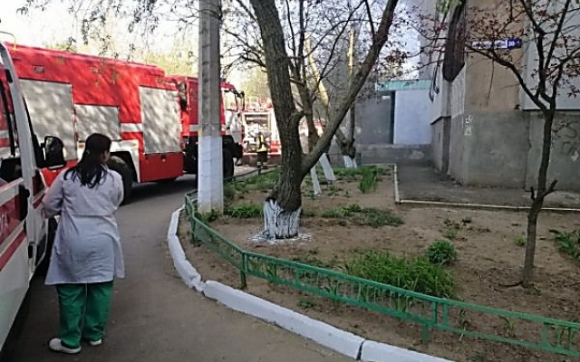 Домашняя кошка стала виновницей пожара в многоэтажном доме Фото № 2 Домашняя кошка стала виновницей пожара в многоэтажном доме Фото № 2