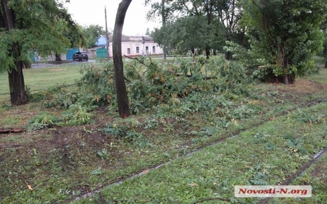 На Чкалова из-за сильного ветра и дождя ветка акации упала на контактные провода и заблокировала проезд трамваев Фото № 2 На Чкалова из-за сильного ветра и дождя ветка акации упала на контактные провода и заблокировала проезд трамваев Фото № 2