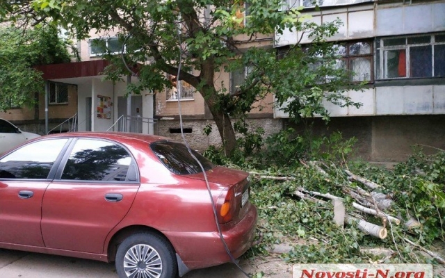 В центре Николаева упавший тополь раздавил автомобиль Фото № 8 В центре Николаева упавший тополь раздавил автомобиль Фото № 8