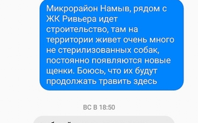 В Николаеве потравили бездомных собак Фото № 5 В Николаеве потравили бездомных собак Фото № 5
