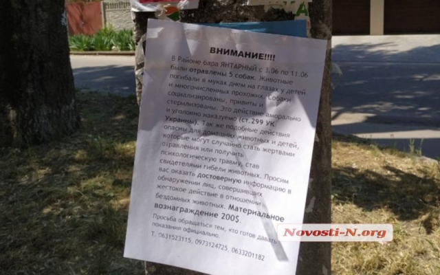 В районе Космонавтов отравили собак, обещают 200 долларов за информацию о догхантере Фото № 1 В районе Космонавтов отравили собак, обещают 200 долларов за информацию о догхантере Фото № 1