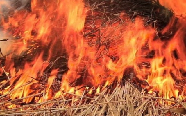В Вознесенском районе сгорели две тонны сена и сеновал Фото № 0 В Вознесенском районе сгорели две тонны сена и сеновал Фото № 0