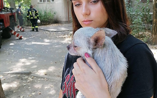 В Николаеве горела квартира в пятиэтажке – из огня спасли собаку Фото № 2 В Николаеве горела квартира в пятиэтажке – из огня спасли собаку Фото № 2