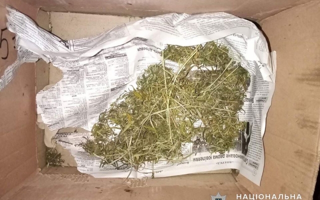 Более одного килограмма конопли обнаружили у жителя Новобугского района Фото № 0 Более одного килограмма конопли обнаружили у жителя Новобугского района Фото № 0