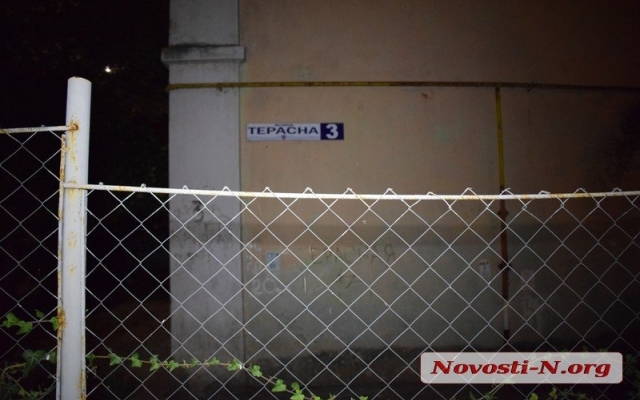 Житель Николаева на Террасной во дворе повредил два автомобиля и грузовик Фото № 10 Житель Николаева на Террасной во дворе повредил два автомобиля и грузовик Фото № 10