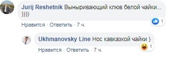 Политолог «засветил» логотип Николаева – розовый с голубым корабликом Фото № 4 Политолог «засветил» логотип Николаева – розовый с голубым корабликом Фото № 4