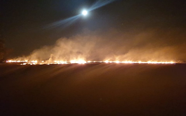 В Николаевской области из-за поджогов неизвестными произошли пожары в двух лесных урочищах Фото № 2 В Николаевской области из-за поджогов неизвестными произошли пожары в двух лесных урочищах Фото № 2