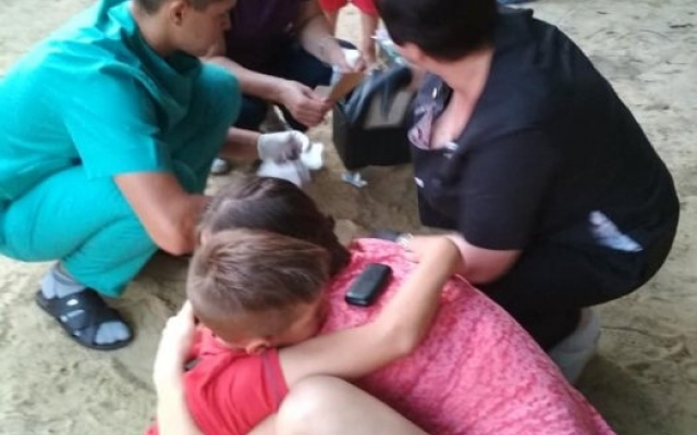 В Николаеве ребенок травмировался на новенькой детской площадке Фото № 3 В Николаеве ребенок травмировался на новенькой детской площадке Фото № 3