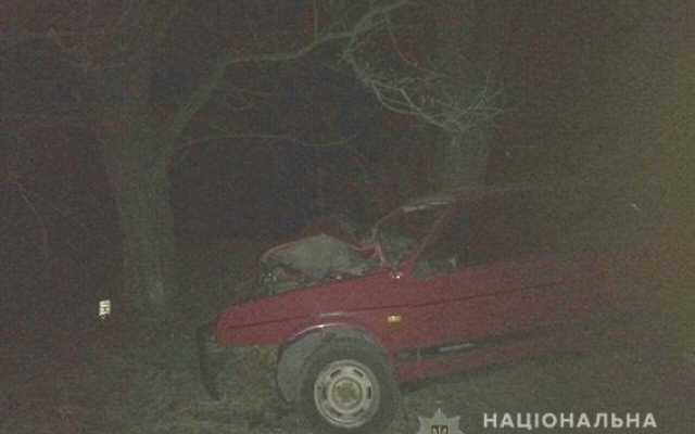 На трассе «Новониколаевка-Ковалевка» автомобиль слетел в кювет и врезался в дерево, водитель погиб на месте Фото № 0 На трассе «Новониколаевка-Ковалевка» автомобиль слетел в кювет и врезался в дерево, водитель погиб на месте Фото № 0