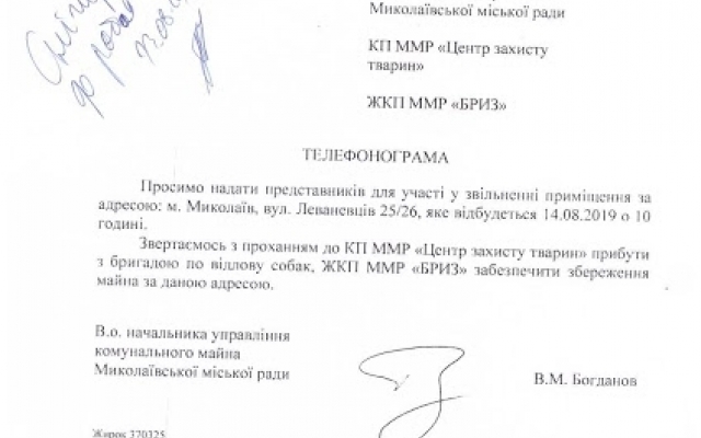 Николаевская зоозащитница Лидия Шуст требует вернуть собак, отобранных городскими властями из ее приюта Фото № 11 Николаевская зоозащитница Лидия Шуст требует вернуть собак, отобранных городскими властями из ее приюта Фото № 11