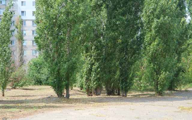 В Заводском районе хотят создать Сквер Матери, который станет украшением Николаева Фото № 6 В Заводском районе хотят создать Сквер Матери, который станет украшением Николаева Фото № 6