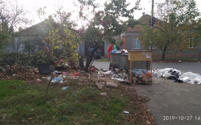 На Чайковского пожаловались на мусор, который не вывезли коммунальные службы Фото № 0 На Чайковского пожаловались на мусор, который не вывезли коммунальные службы Фото № 0