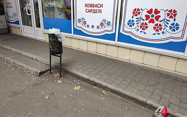 На Центральном проспекте в урне нашли человеческий череп Фото № 0 На Центральном проспекте в урне нашли человеческий череп Фото № 0