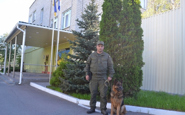 В Южноукраинске служебная собака пограничников помогла найти пропавшую без вести девочку Фото № 0 В Южноукраинске служебная собака пограничников помогла найти пропавшую без вести девочку Фото № 0