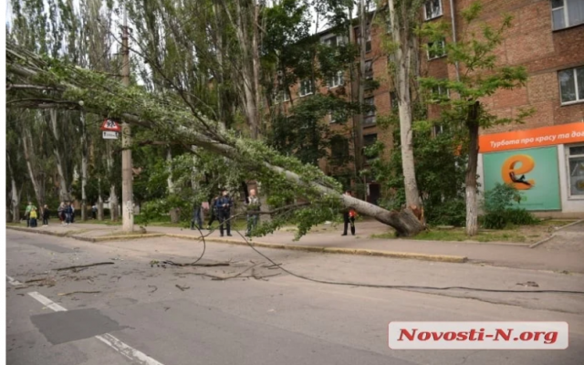 По одной из улиц Николаева перекрыто движение – упал тополь Фото № 0 По одной из улиц Николаева перекрыто движение – упал тополь Фото № 0