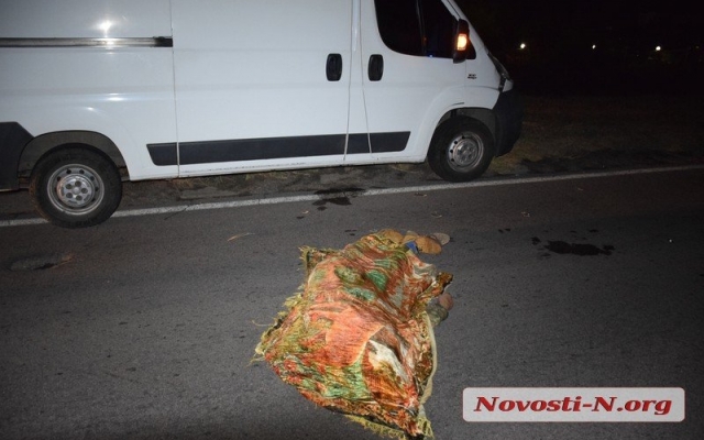 На въезде в Николаев ночью сбили пешехода, переходившего дорогу в неустановленном месте Фото № 4 На въезде в Николаев ночью сбили пешехода, переходившего дорогу в неустановленном месте Фото № 4