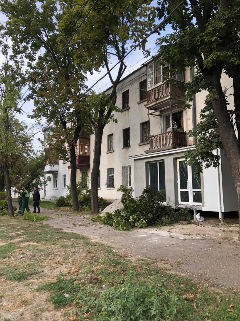 В центре города ликвидировали аварийные деревья Фото № 0 В центре города ликвидировали аварийные деревья Фото № 0