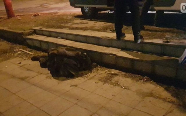 В Николаеве прямо на улице полдня пролежал мужчина Фото № 0 В Николаеве прямо на улице полдня пролежал мужчина Фото № 0