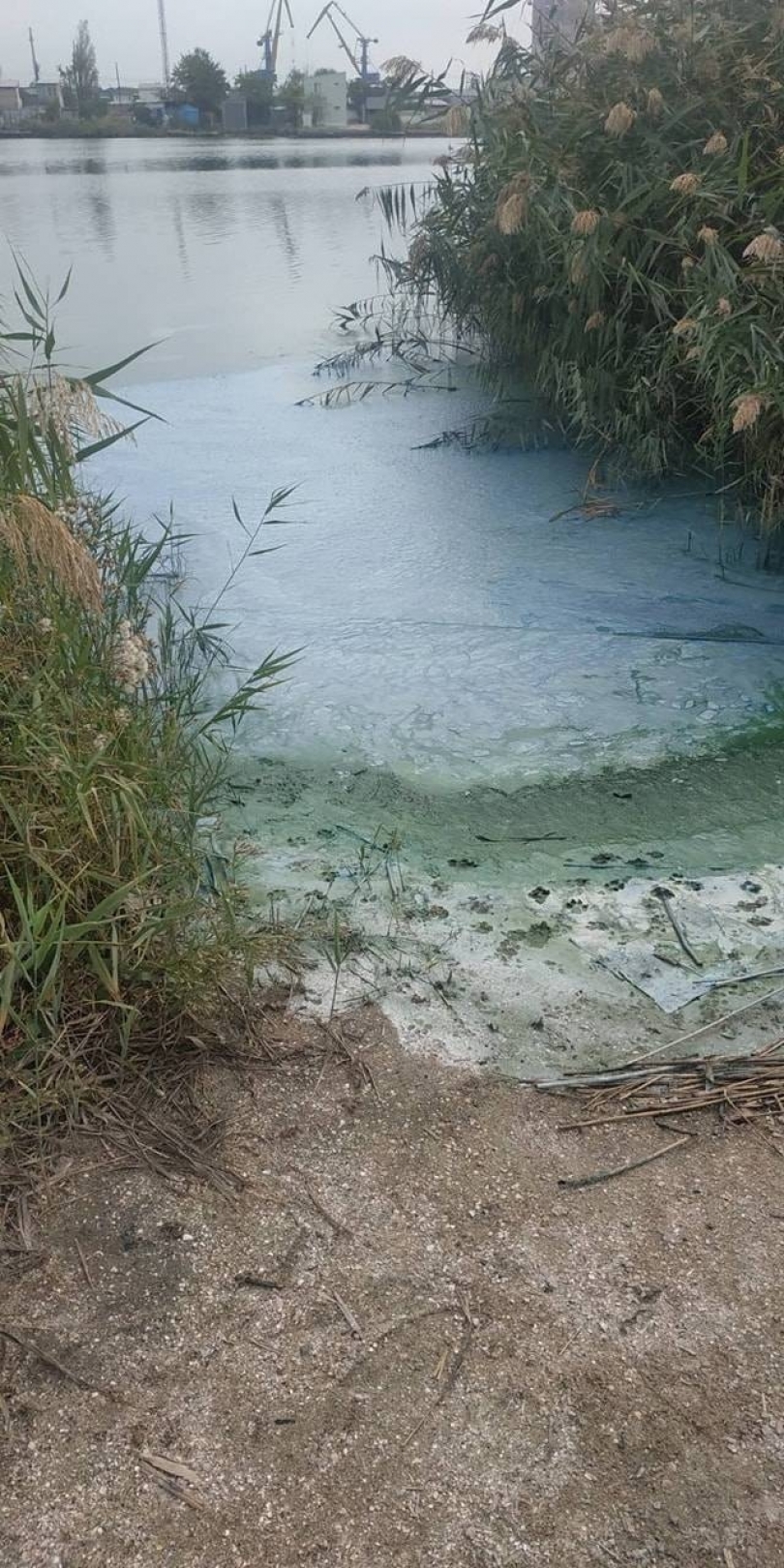 Николаевцев беспокоит цвет воды в Южном Буге Фото № 1 Николаевцев беспокоит цвет воды в Южном Буге Фото № 1