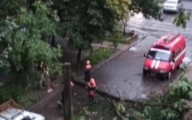 На Курортной на автомобиль упало дерево Фото № 2 На Курортной на автомобиль упало дерево Фото № 2