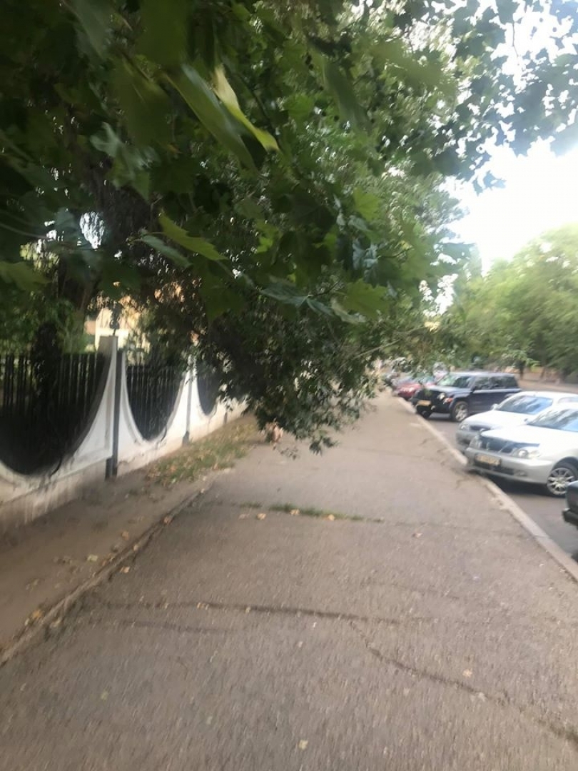 В Николаеве возле городка В Николаеве возле городка