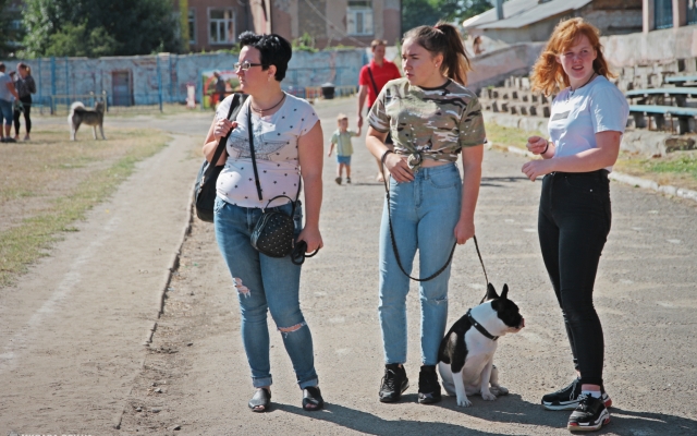 В Николаеве прошла международная выставка собак Фото № 5 В Николаеве прошла международная выставка собак Фото № 5