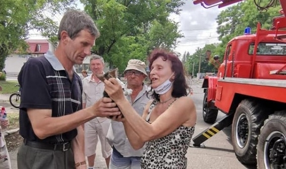 Сегодня в Николаеве перекрыли улицу Чкалова из-за... кота Фото № 3 Сегодня в Николаеве перекрыли улицу Чкалова из-за... кота Фото № 3
