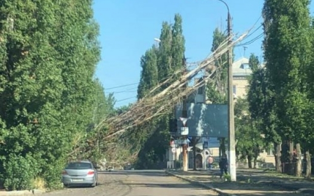 Результат непогоды в Николаеве: упавшие деревья, погнутые дорожные знаки и сорванные крыши Фото № 1 Результат непогоды в Николаеве: упавшие деревья, погнутые дорожные знаки и сорванные крыши Фото № 1