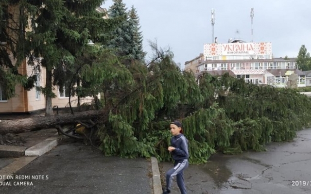 В Первомайске швальный ветер срывал крыши и вырывал с корнями деревья Фото № 2 В Первомайске швальный ветер срывал крыши и вырывал с корнями деревья Фото № 2