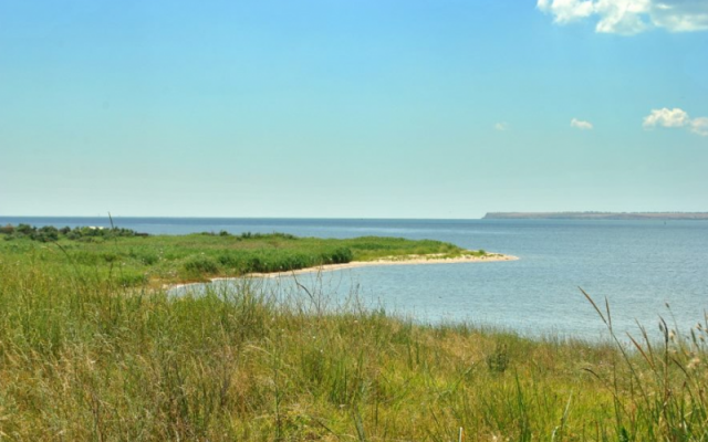 В Бугском лимане в воде стало плохо и он едва не утонул, на помощь пришли спасатели Фото № 0 В Бугском лимане в воде стало плохо и он едва не утонул, на помощь пришли спасатели Фото № 0
