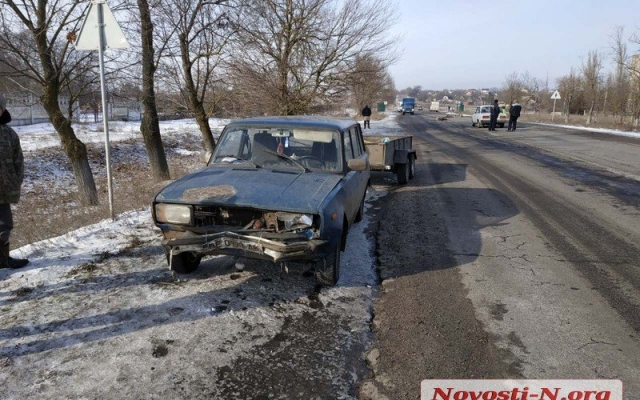 На трассе «Николаев-Доманевка-Березки» автомобиль на большой скорости врезался в отару овец: есть пострадавшие, погибли животные Фото № 8 На трассе «Николаев-Доманевка-Березки» автомобиль на большой скорости врезался в отару овец: есть пострадавшие, погибли животные Фото № 8