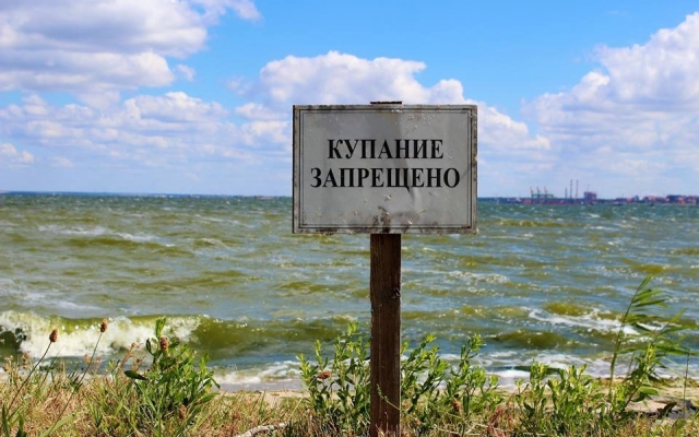 Волошская коса глазами туриста Фото № 14 Волошская коса глазами туриста Фото № 14