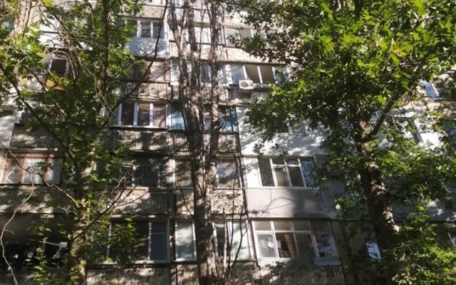 В Николаеве безнадежно сухие и явно аварийные тополя удалению не подлежат Фото № 0 В Николаеве безнадежно сухие и явно аварийные тополя удалению не подлежат Фото № 0