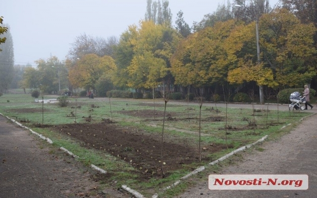 В парке Николаева высаживают катальпы и сакуры Фото № 1 В парке Николаева высаживают катальпы и сакуры Фото № 1