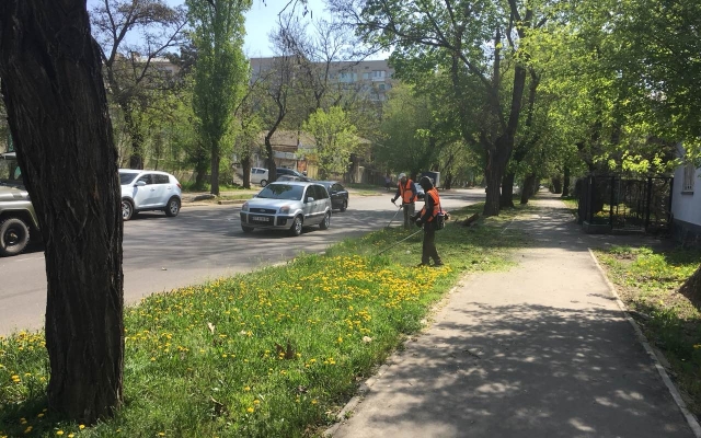 Продолжается весенняя уборка в Центральном районе Фото № 1 Продолжается весенняя уборка в Центральном районе Фото № 1