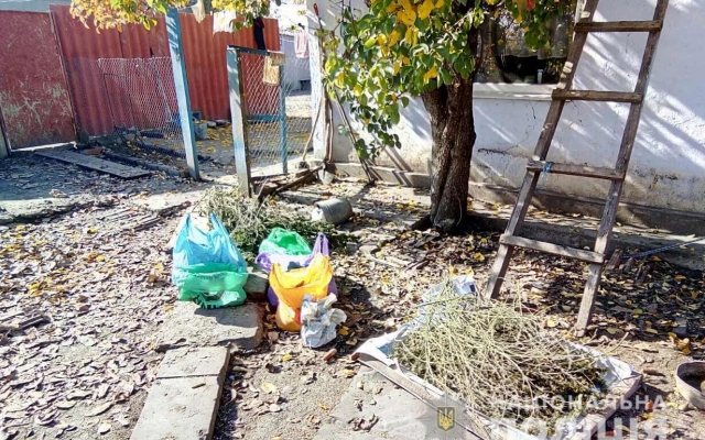 В Новобугском районе у местного жителя обнаружили более шести килограмм наркозелья Фото № 4 В Новобугском районе у местного жителя обнаружили более шести килограмм наркозелья Фото № 4