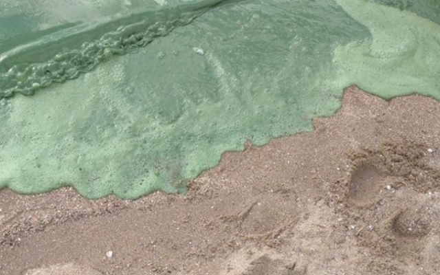 В Николаеве вода на пляже ядовито-зеленого цвета Фото № 0 В Николаеве вода на пляже ядовито-зеленого цвета Фото № 0