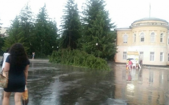 В Первомайске швальный ветер срывал крыши и вырывал с корнями деревья Фото № 5 В Первомайске швальный ветер срывал крыши и вырывал с корнями деревья Фото № 5