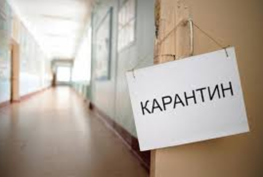 46 классов находятся на самоизоляции из-за COVID-19 Фото № 0 46 классов находятся на самоизоляции из-за COVID-19 Фото № 0
