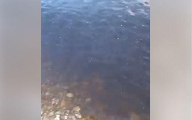 В реке Южный Буг вода коричневого цвета, - николаевцы обеспокоены Фото № 0 В реке Южный Буг вода коричневого цвета, - николаевцы обеспокоены Фото № 0