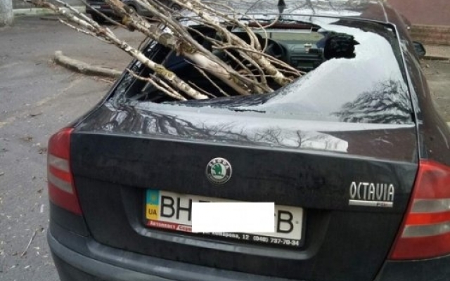 По улицам Николаева сегодня опасно перемещаться: сильный ветер валит деревья, гнет биллборды Фото № 0 По улицам Николаева сегодня опасно перемещаться: сильный ветер валит деревья, гнет биллборды Фото № 0
