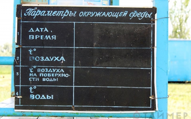 Волошская коса глазами туриста Фото № 11 Волошская коса глазами туриста Фото № 11