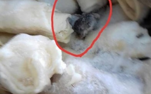В одном из николаевских магазинов мужчина можно купить полуфабрикаты с мышами Фото № 0 В одном из николаевских магазинов мужчина можно купить полуфабрикаты с мышами Фото № 0